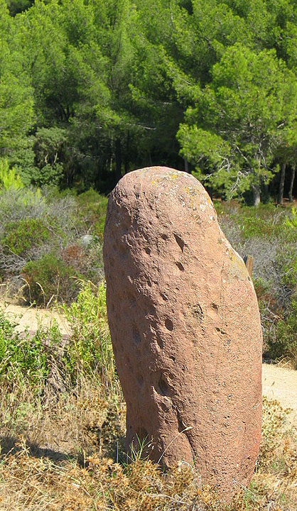 Menhir de L'Aire Peyronne (Standing Stone / Menhir) by fitzcoraldo