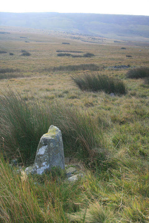 Carnau Cerfn y Ffordd Stone II (Standing Stone / Menhir) by postman