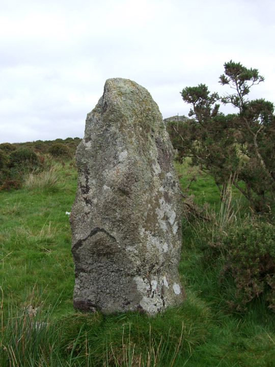 Tregarrick Tor Menhir (Standing Stone / Menhir) by Mr Hamhead