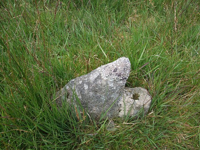 Fernworthy stone row (North) (Stone Row / Alignment) by Chris Collyer