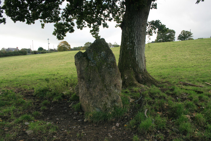 Ty Mawr (Standing Stone / Menhir) by postman