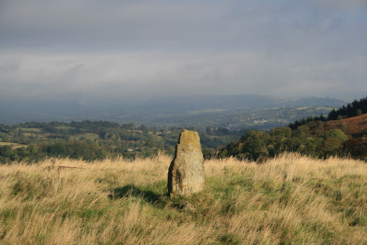 Carregwiber (stone 1) (Standing Stone / Menhir) by postman