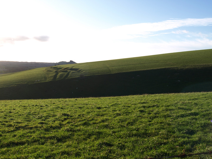 Biddcombe and Whitepits Down Cross Dykes (Dyke) by formicaant