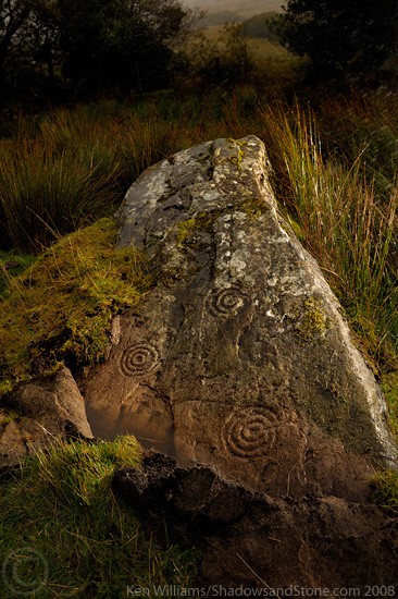 Kealduff (333) (Cup and Ring Marks / Rock Art) by CianMcLiam