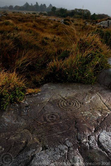 Kealduff (331) (Cup and Ring Marks / Rock Art) by CianMcLiam