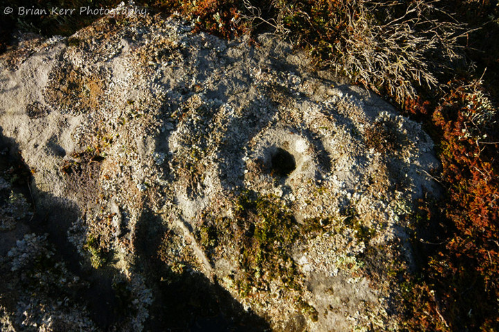 Football Cairn (e) (Cup and Ring Marks / Rock Art) by rockartwolf
