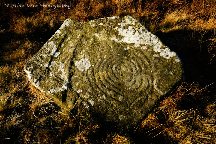Cambret Moor (Cup and Ring Marks / Rock Art) by rockartwolf