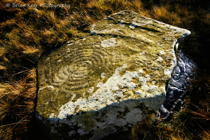 Cambret Moor (Cup and Ring Marks / Rock Art) by rockartwolf