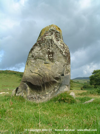 Cwmere Farm Stone (Standing Stone / Menhir) by Kammer