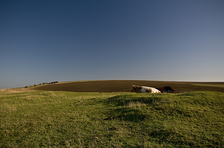 Ditchling Beacon (Hillfort) by A R Cane
