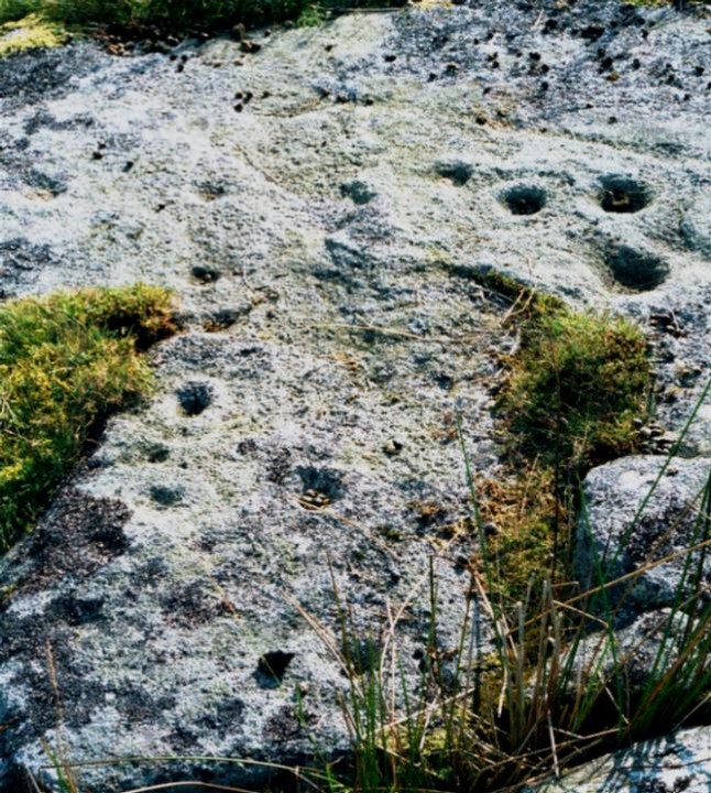 Goldsborough Rigg (Cup and Ring Marks / Rock Art) by fitzcoraldo