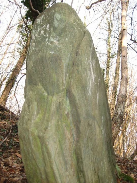 Faie's Menhirs (Faires Menhirs) (Standing Stone / Menhir) by Ligurian Tommy Leggy