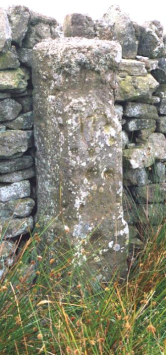 Cotherstone Moor (Cup Marked Stone) by fitzcoraldo