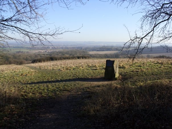 Wittenham Clumps and Castle Hill (Hillfort) by Circlemaster