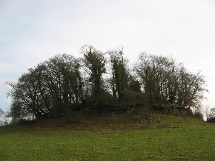 Ardmayle (Artificial Mound) by bawn79