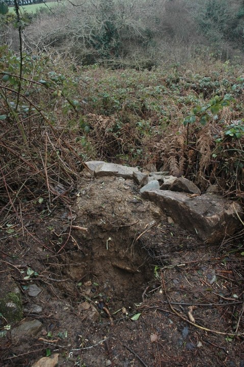 Killabeg Tumulus (Artificial Mound) by ryaner