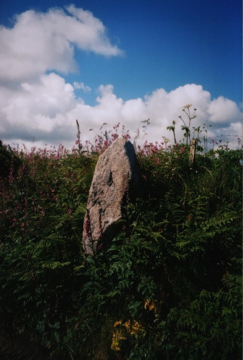 Ding Dong lane (Standing Stone / Menhir) by thesweetcheat