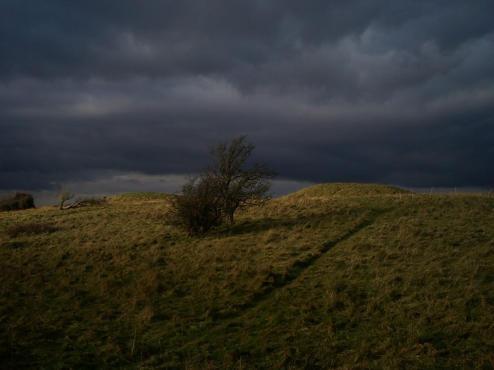 Old Winchester Hill (Hillfort) by wickerman