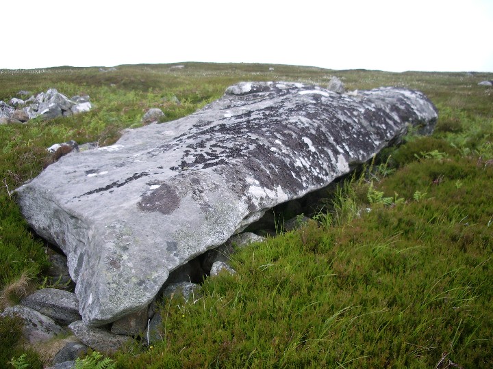 Ultach Fhinn (Standing Stone / Menhir) by Billy Fear