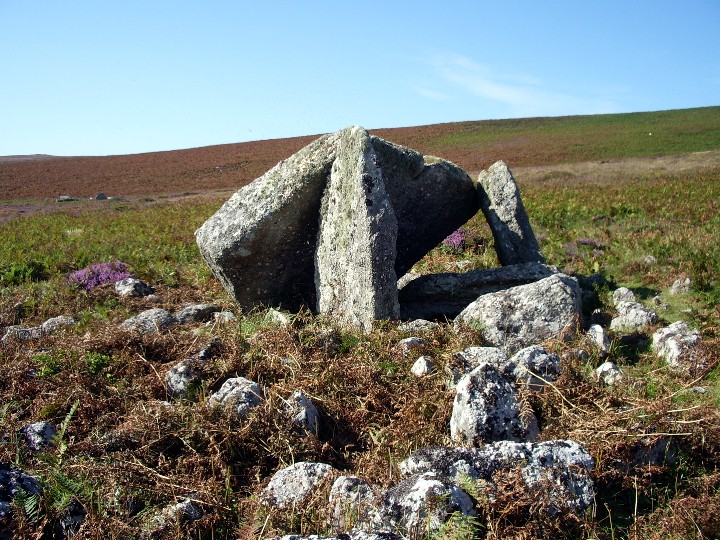 Sweyne Howes (north) (Chambered Tomb) by Billy Fear