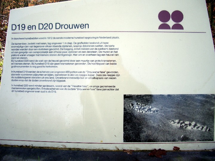 D19 Drouwen (Hunebed) by Billy Fear