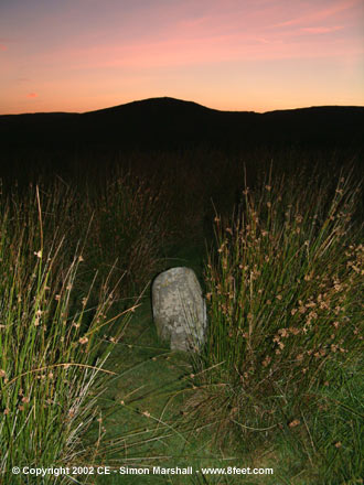 Garn Lwyd Stone and Barrow Cemetery (Barrow / Cairn Cemetery) by Kammer