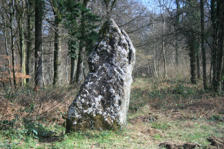 Long Stone (Standing Stone / Menhir) by postman