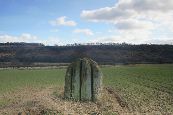 The Queen Stone (Standing Stone / Menhir) by postman