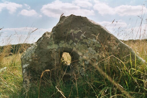 Overton Down Holed Stone and Beaker Settlement (Ancient Village / Settlement / Misc. Earthwork) by RedBrickDream