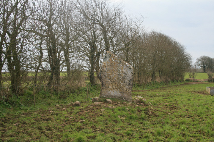 Harold Stone (Standing Stone / Menhir) by postman