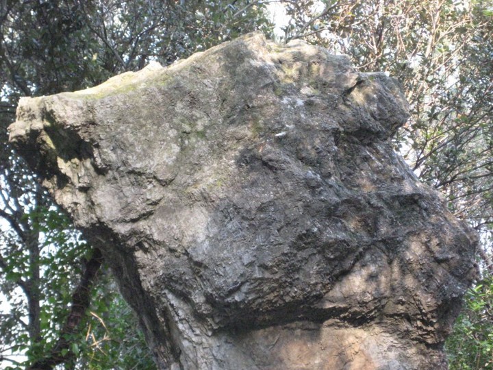 God Pen, Verzi's Menhir (Standing Stone / Menhir) by Ligurian Tommy Leggy