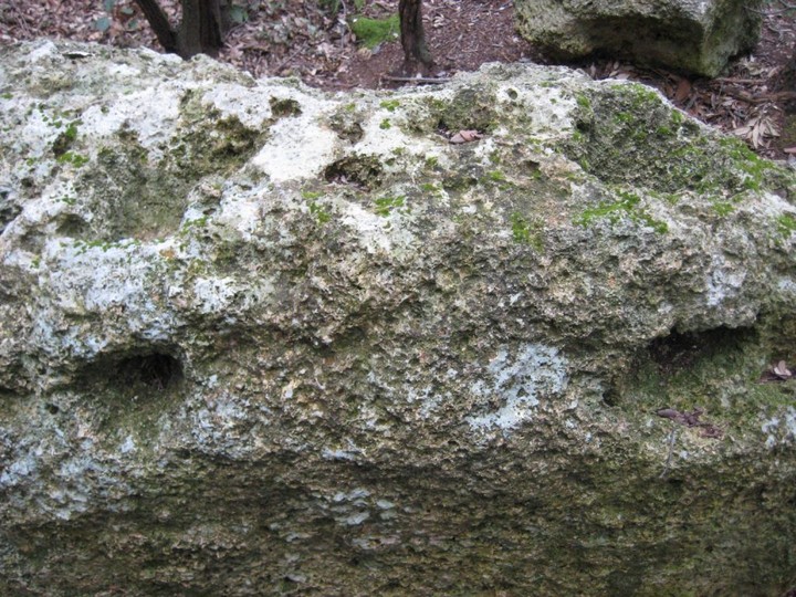Camporotondo's Double Holed Stone (Engraved stone) by Ligurian Tommy Leggy