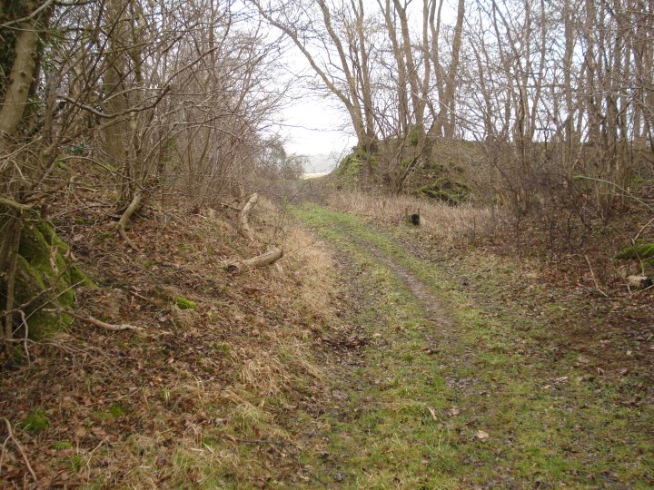 Bury Wood Camp (Hillfort) by Chance
