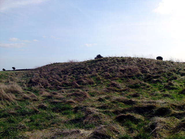 Thickthorn Down (South) (Long Barrow) by texlahoma