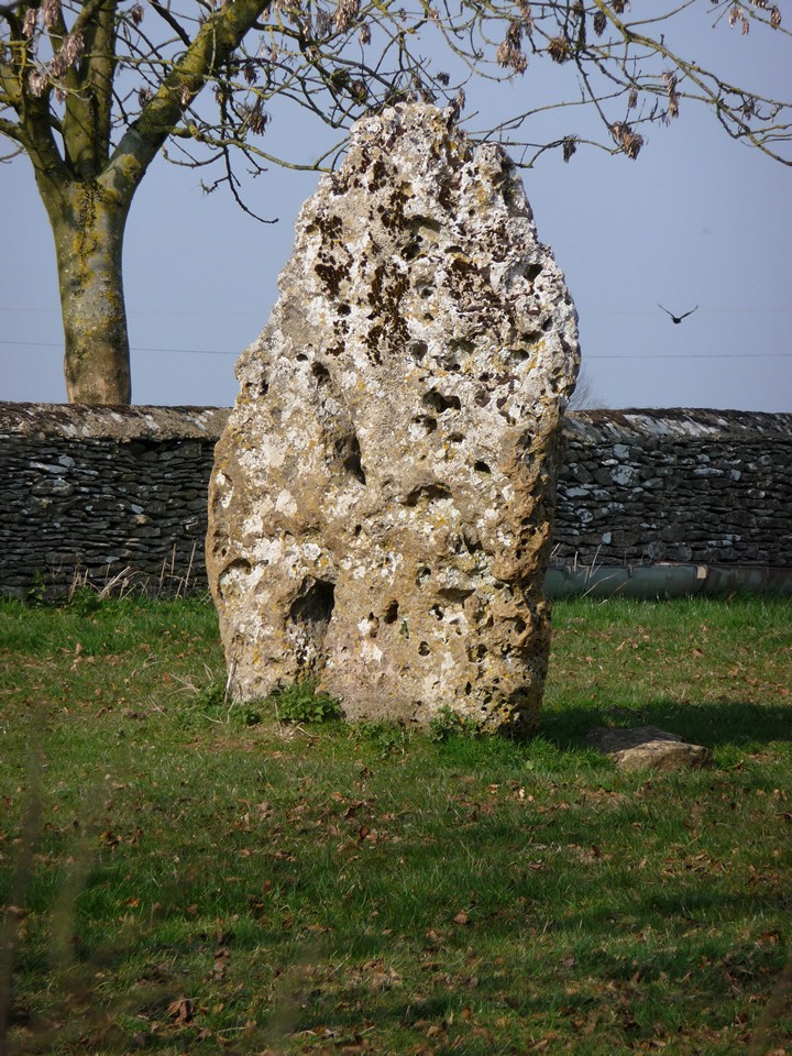 The Longstone of Minchinhampton (Standing Stone / Menhir) by thesweetcheat