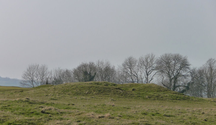 Whitfield's Tump (Long Barrow) by thesweetcheat