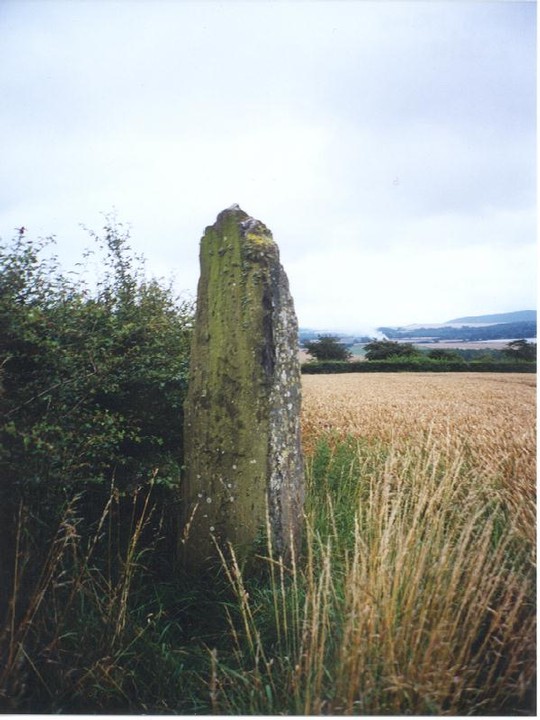 Loths Stone (Standing Stone / Menhir) by Martin