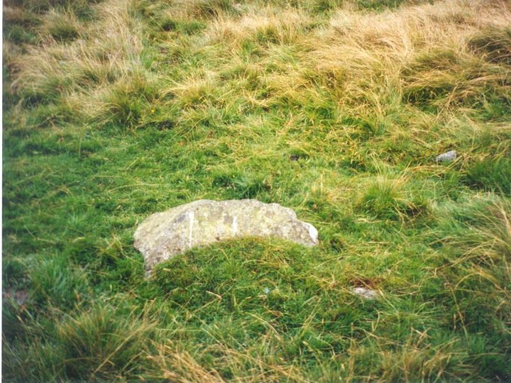 Yadlee Stone Circle (Stone Circle) by Martin
