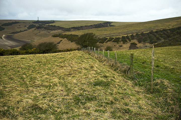 Castle Hill (Woodingdean) (Enclosure) by A R Cane