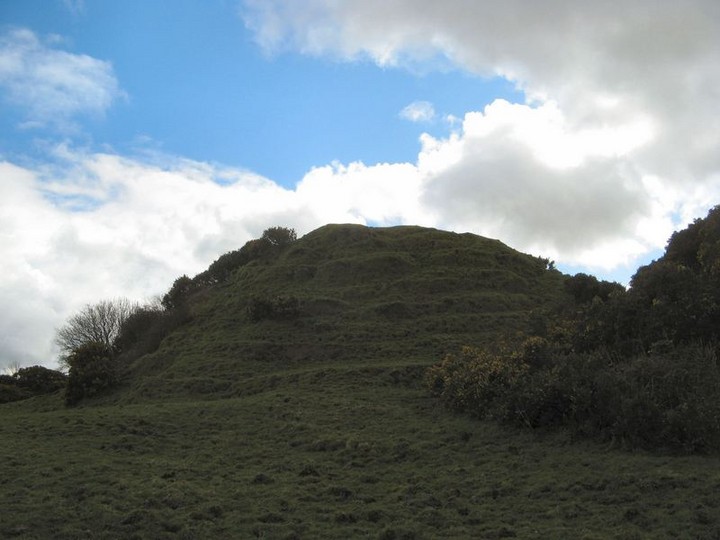 Kilfinnane (Artificial Mound) by bawn79
