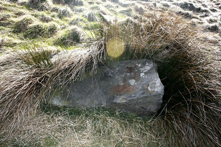Barbrook III (Stone Circle) by Sid Arthur