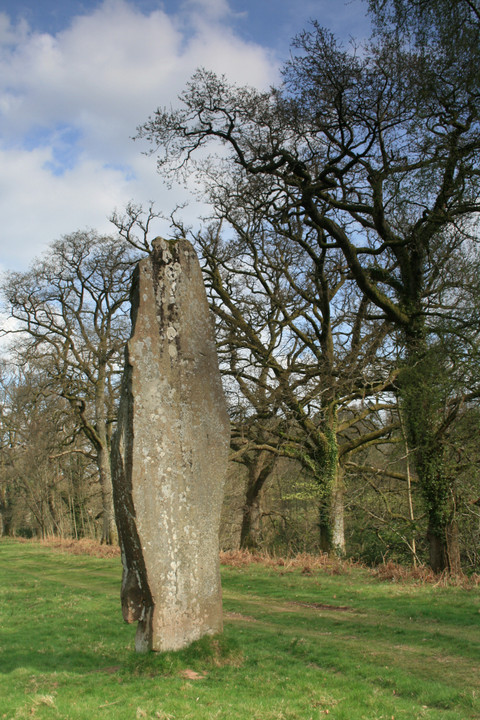 The Fish Stone (Standing Stone / Menhir) by postman