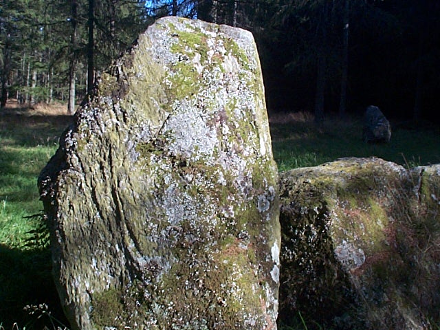 Nine Stanes (Stone Circle) by Chris