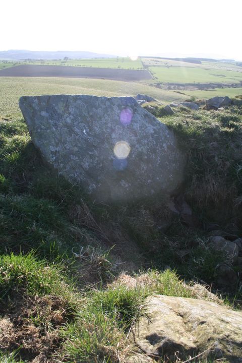 Crag Hill (Cist) by mascot
