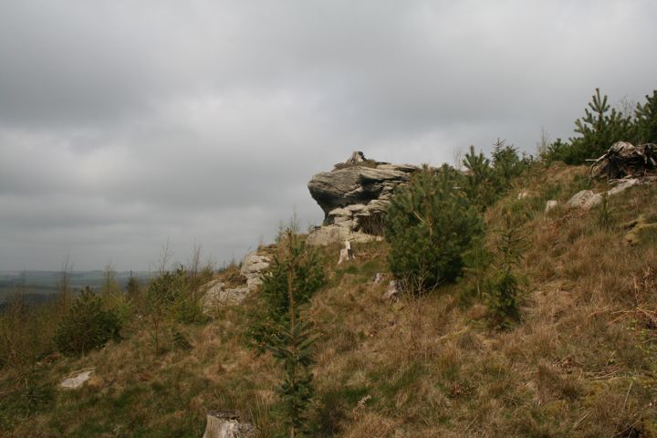 White House Folly Hill (Cist) by mascot