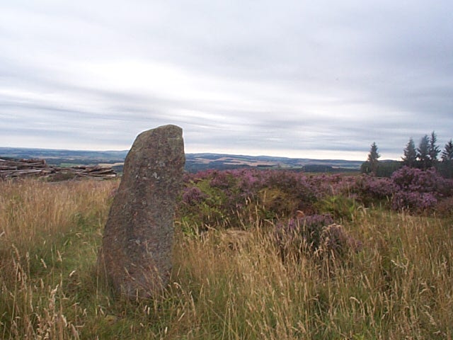 Whitehills (Stone Circle) by Chris