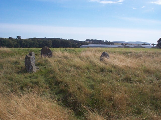 Broomend of Crichie (Circle henge) by Chris