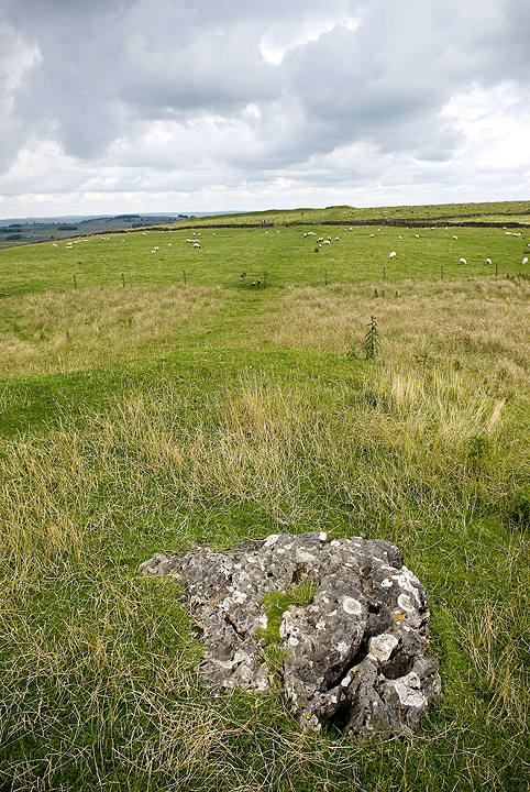 Gib Hill (Long Barrow) by A R Cane