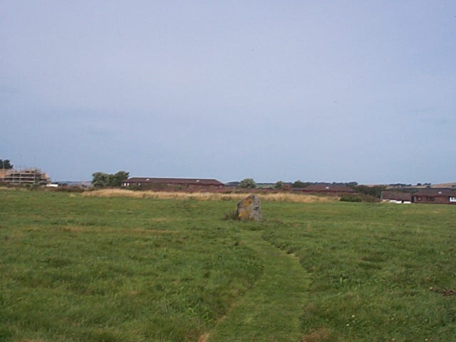 Broomend of Crichie (Circle henge) by Chris