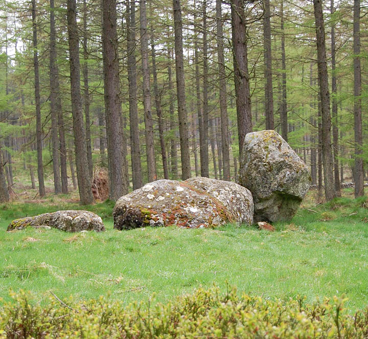 Nine Stanes (Stone Circle) by fitzcoraldo